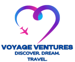 Voyage Ventures